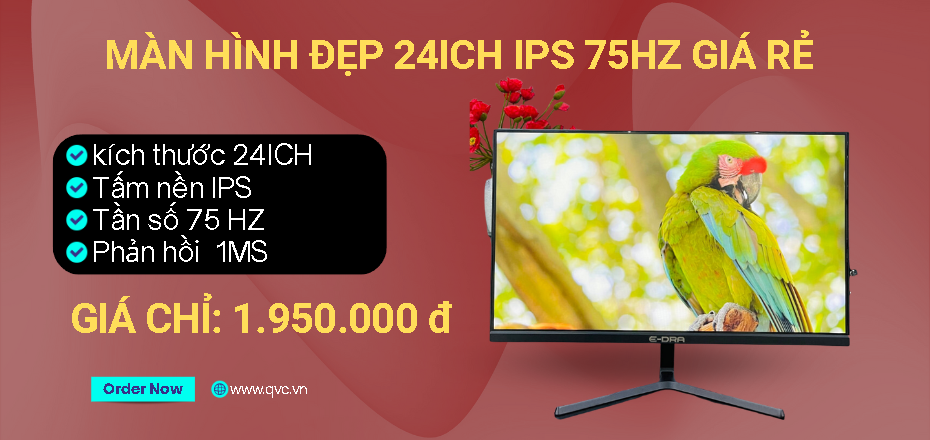 MÀN HÌNH EDRA 24 INCH GIÁ RẺ S 75HZ 