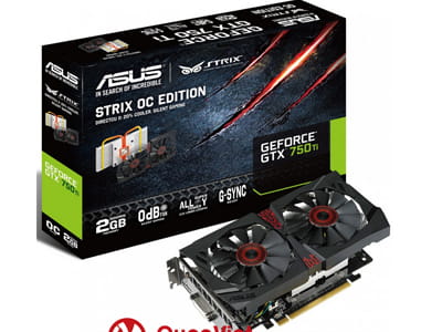 VGA - Asus
