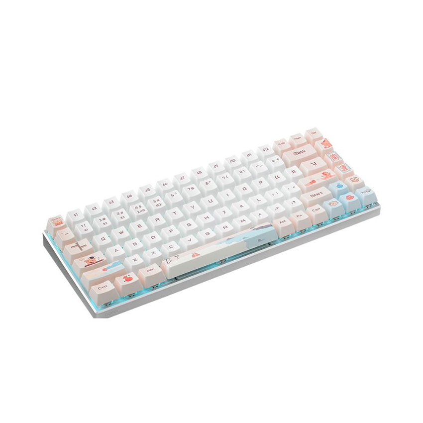 Bàn Phím Cơ Không Dây Key RAPOO MT510 Pro Multi - mode White Yellow Silver Switch 10231