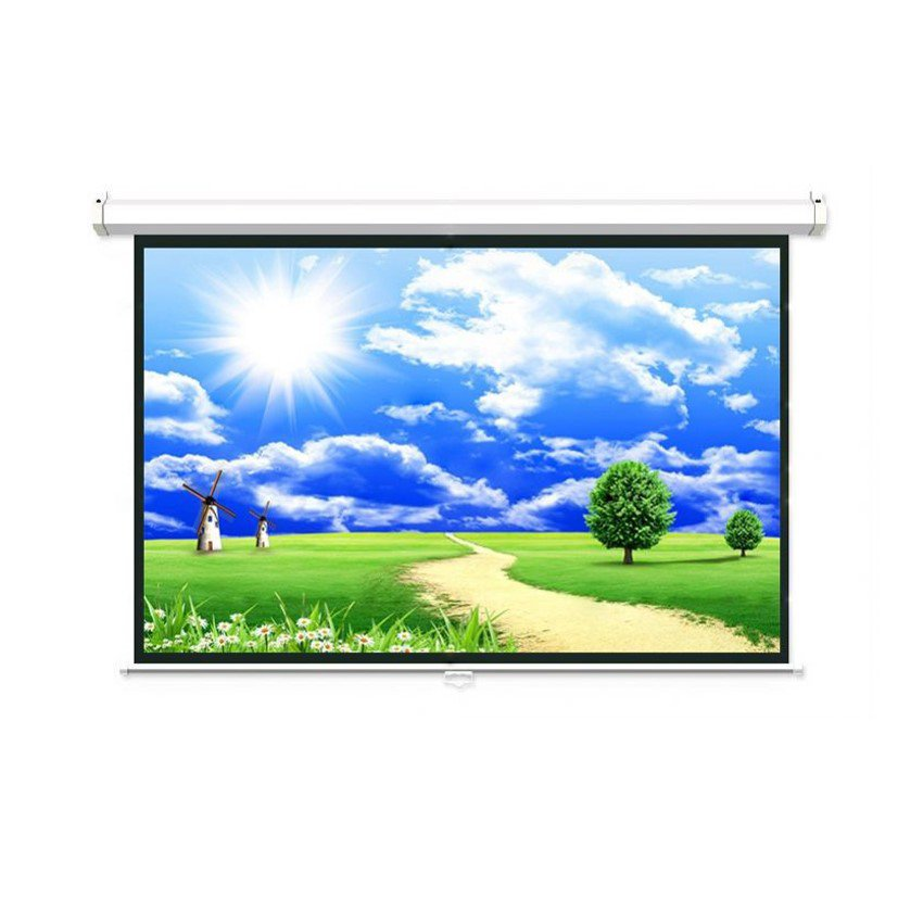 Màn chiếu treo tường Dalite PW150WS ( 3m05x2m29 ) - 150inch