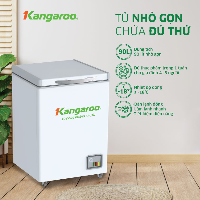 Tủ đông kháng khuẩn 1 ngăn, 1 cánh 90 LÍT Kangaroo KG168NC1