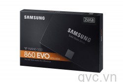 SSD Samsung 860 Evo 250Gb (MZ-76E250BW)