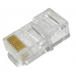 Hạt mạng Golden Japan Cat6