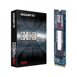 Ổ cứng SSD GIGABYTE M2 256GB(GSM2NE3256GNTD)