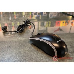 Mouse Proone PRM120