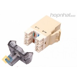 Nhân mạng AMP cat6