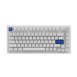 Bàn phím cơ AKKO PC75B Plus Blue on White Wireless Akko CS Jelly Purple switch