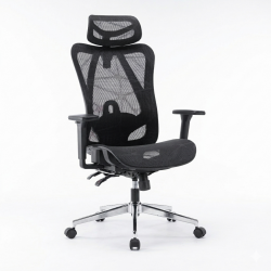 Ghế xoay công thái học E-Dra EEC225 Black