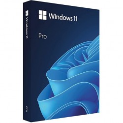 Phần mềm điều hành Win Pro 11 64bit Eng intl 1pk DSP OEI DVD (NK)
