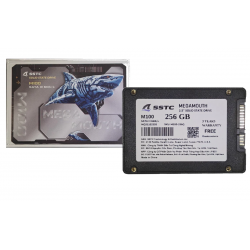 Ổ cứng SSD SSTC 256GB 2.5inch Sata3 M100
