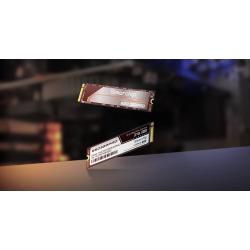 Ổ cứng SSD Simorchip SSD320PRO 256GB NVME GEN3X4
