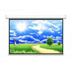 Màn treo tường Dalite 70'' x 70''